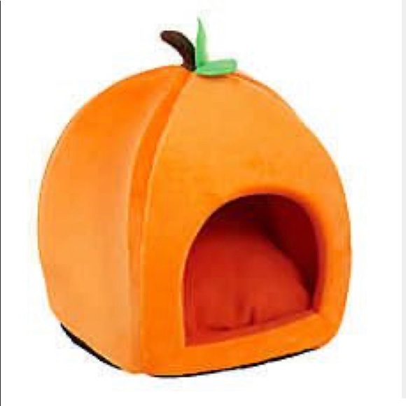 pumpkin dog bed